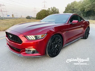  6 Very clean four cylinder Mustang