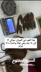  2 اجود واندر وارخص انواع العود الفيتنامي الفاخر أنظر الوصف والصور