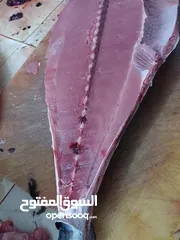  1 سمك جيذر طازج