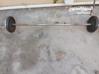  2 curl barbell and barbell