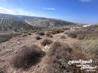  3 دونم للبيع في عين عريك
