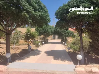  9 مادبا حواره مزرعه للبيع