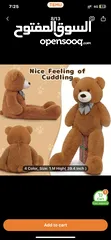  1 Teddy bear for sale
