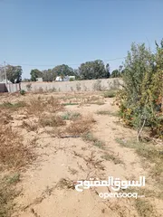  4 ارض للبيع صالحة للسكن او الزراعةTerrain a chotrana soukra a vendre  Surface 1536m2