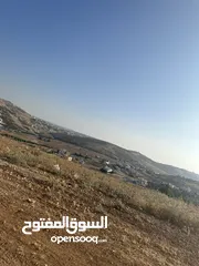  5 ( فرصة العُمر ) أجمل قطعة في منطقة ام رمانة في أجمل الاحياء السكنية في المنطقة ( منطقة قصور وفلل )