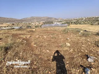  2 الارض مساحتها 1235