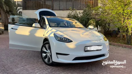  11 Tesla model Y 2021