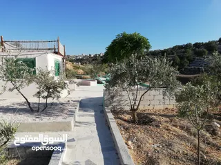  19 مزرعه للبيع