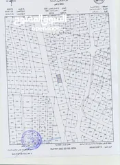  2 ارض تنظيم سكن ب قابلة للتحويل لتجاري متعدد الاستعمالات في كوريدور شارع عبدللة غوشة