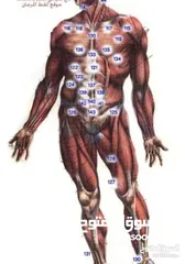  1 مطلوب ممول لمركز حجامة و علاج ومنتجات طبيعية