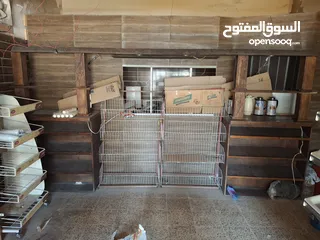  7 عِدة سوبر ماركت ديكورات جاهزه للبيع