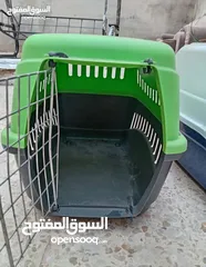  1 صندوق قطة ومكان تبول للبيع بسعر رخيص