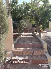  5 عمان ناعور الروضة الحي الغربي ابو الغزلان