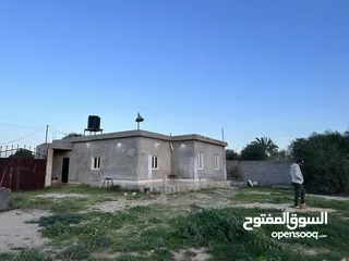 1 مزرعه للإيجار في سيدي خليفه تحتوي علي منزل