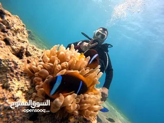  16 منتجع بيت العقبه السياحي ومركز غوص