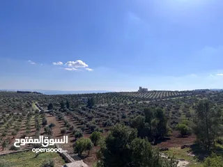  2 فرصة العمر مزرعة زيتون راقية  طريق اربد عمان كافه الخدمات 17 دونم و نص منتجه