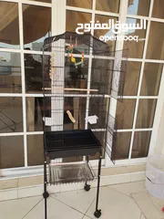  4 Birds Cage for sale