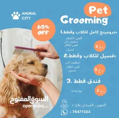  2 Grooming  cat & dog