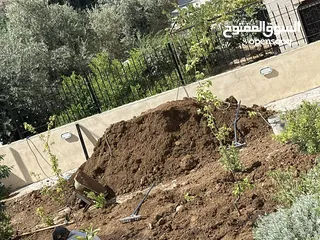  1 تراب احمر مجاناً
