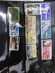  2 Dubai Collection