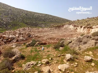  5 ارض  للبيع