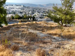  4 قطعة أرض مميزة للبيع  -ضاحية الحمر الراقية -عمان الغربية