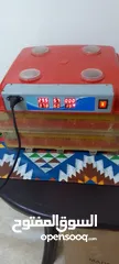  7 فقاسه للبيع
