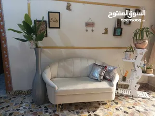  5 شازلون شغل درجه اولى