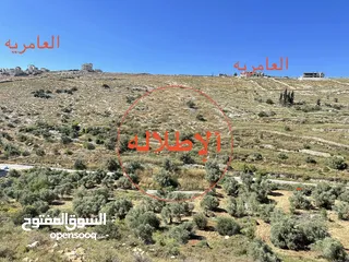  4 ارض في تل / العمدان