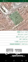  2 شفابدران ام رمانه من الماللك مباشره