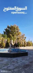  16 قصر على أعلى نقطة خربة الطوي على 10 دنمات