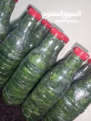  8 طعام جاهز بيتي