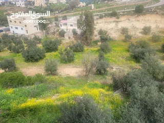  1 دونم أرض للبيع في منطقة الراية مرصع قريبة قريبة من شارع عمان جرش