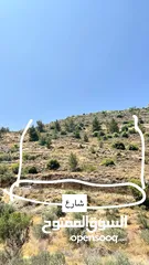  1 قطعة ارض تصنيف الف طابو في منطقة الخليل  حسكا مساحة دونم تصنيف الف طابو