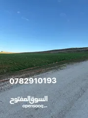  5 ثلاث دنم ونصف منطقة بلعما بسعر ممتاز