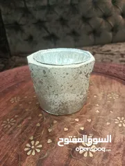  22 شنلات وصباريات في مزهريات