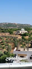  4 ارض للبيع في عجلون بجانب قلعه الربض