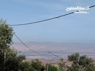  4 مزرعة زيتون ملوكية اطلالة ع الغرب و جبال فلسطين ع ثلاث شوراع قرب شارع الستين ثغرة السلطان