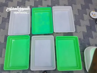  2 جميع اكسسورات القطط