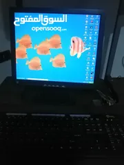  5 كمبيوتر وكمبيوتر