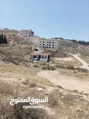  6 ارض مميزه جدا للبيع فورا مطل الجبيهه
