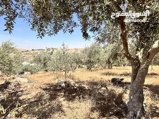  5 500 متر في بيرين حوض القصبات  بالقرب من شفا بدران