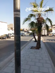  2 مستودعات ومكاتب للإيجار
