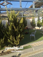  2 الطاقة الشمسية باسلوب مختلف