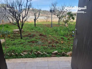  5 ستوديو مفروش للايجار