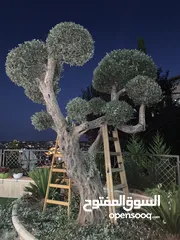  5 فني تنسيق حدائق