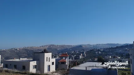  3 يتوفر لدينا نمرة ارض في الجهة الغربية لقرية تل