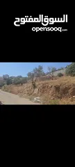  2 ارض عاليه ومطله ومرتفعه صالحه للبناء  واصل كل الخدامات  للبيع في منطقه جفنا 650متر