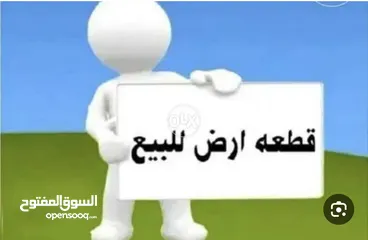  2 ارض دير غزالة الخضراء