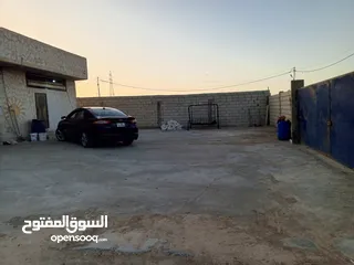  4 معمل اجبان أو مخللات
